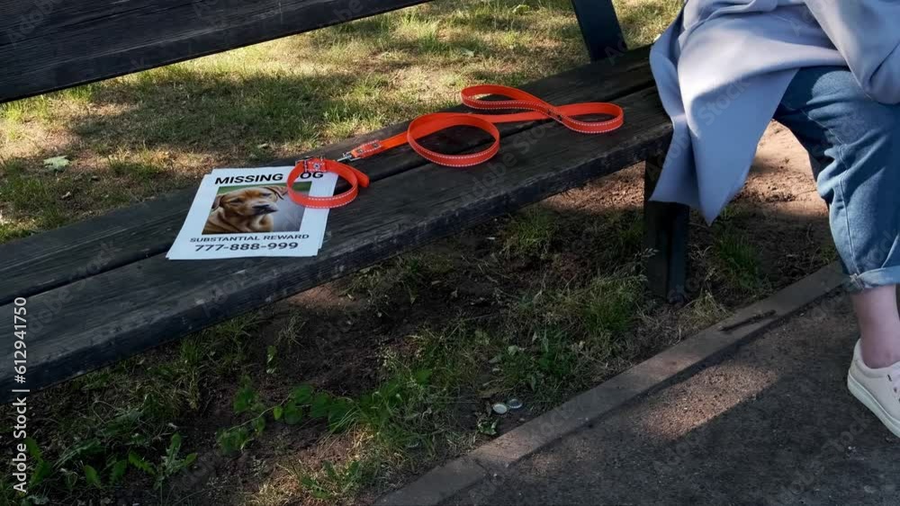 On the bench is a collar and a missing dog notice. A heartbroken dog owner mourns the loss of the dog. Pet relatives and love concept.