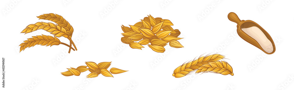 Wheat Ear, Spikelet and Flour in Scoop Vector Set
