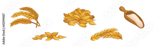 Wheat Ear, Spikelet and Flour in Scoop Vector Set
