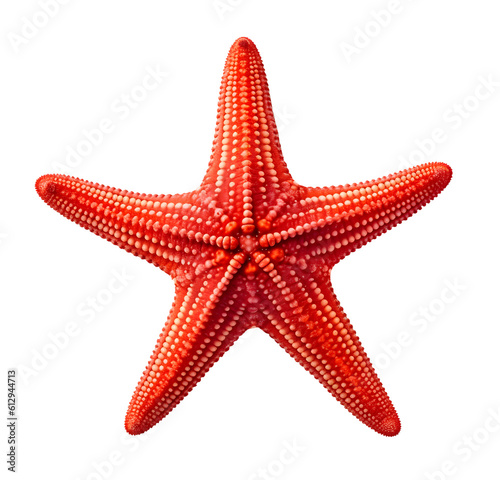 Starfish, Echinaster sepositus, isolated on white background, generative ai