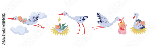 Funny Stork Animal Carrying Little Baby Vector Set