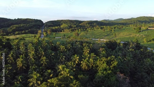 Wallpaper Mural Beauty of Thailand's green tropical rainforest. Aerial shots from a drone capture its majestic canopy, vibrant foliage, and rich biodiversity. Discover a hidden paradise for nature enthusiasts Torontodigital.ca