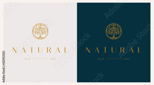 Olive tree logo. Extra virgin olive oil label icon. Tree of life symbol. Organic branch brand identity. Plant leaf sign. Vector illustration.