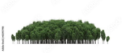 group of trees isolated on a transparent background  big trees in the forest  3D illustration  cg render
