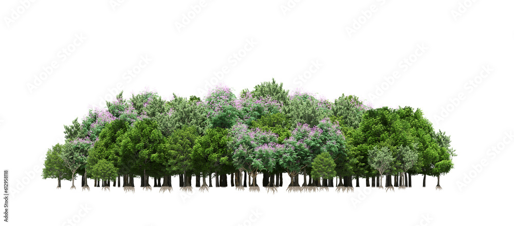 group of trees isolated on a transparent background, big trees in the ...