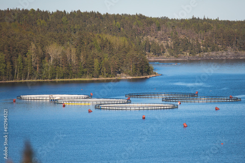 View of circle sea fish farm cages and round fishing nets, farming salmon, trout and cod, feeding the fish a forage, with scandinavian lake landscape and forest island in the background in a summer