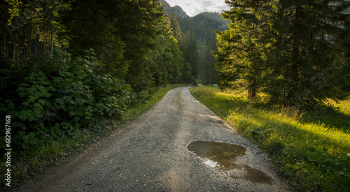 View on a gravelroad in an alpine landscape, with pine trees on both sides of the road, the sun is peaking through the clouds after a storm, some bumps filles with rain water in the foreground. photo