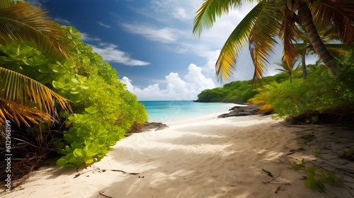 Coastal harmony  breathtaking tropical beach  azure skies  and harmonious coastline