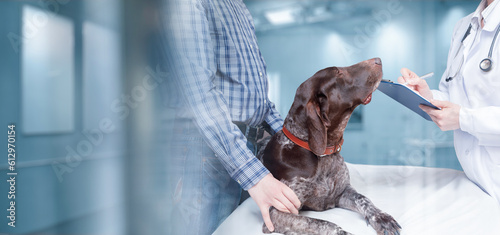 Photography Concept of treatment in a veterinary clinic for dogs.