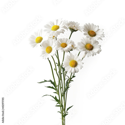 A bunch of daisies in a vase on a table. Generative AI.