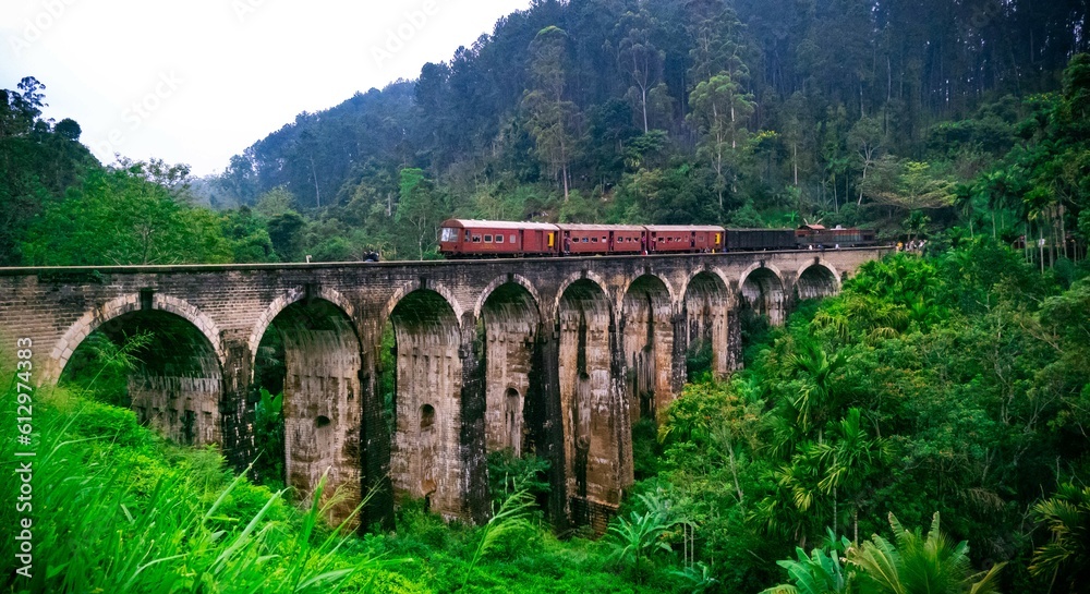 Railway bridge in the mountains  (Nine Arch Bridge Sri Lanka)