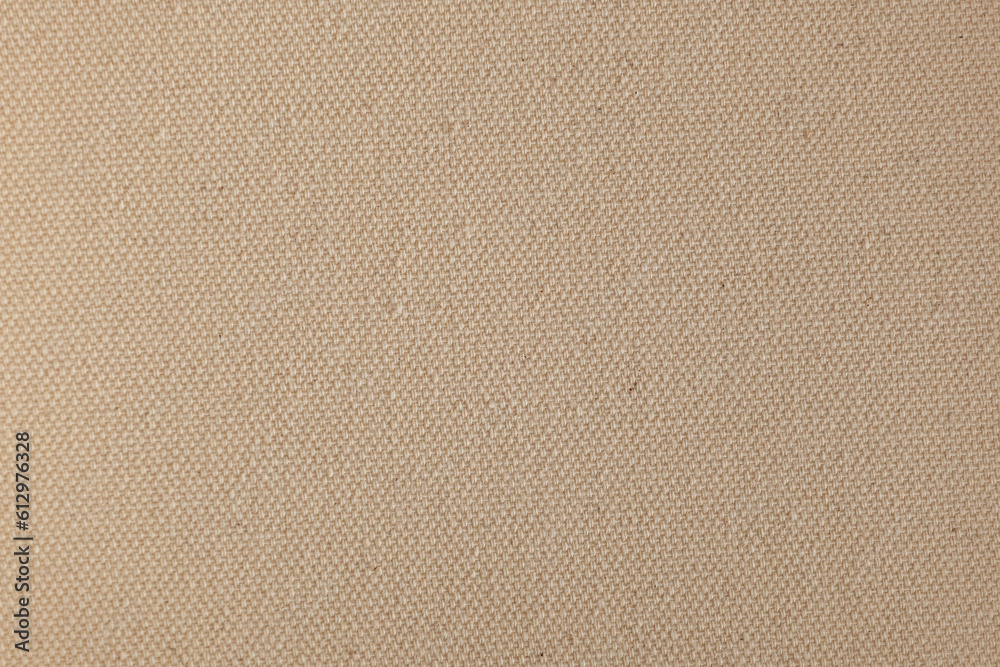 Fototapeta premium Kraft paper texture. Carton background. Blank sheet of brown kraft paper
