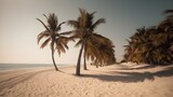 Palmy Trees Adorn a Sandy Beach, Revealing a True Paradise