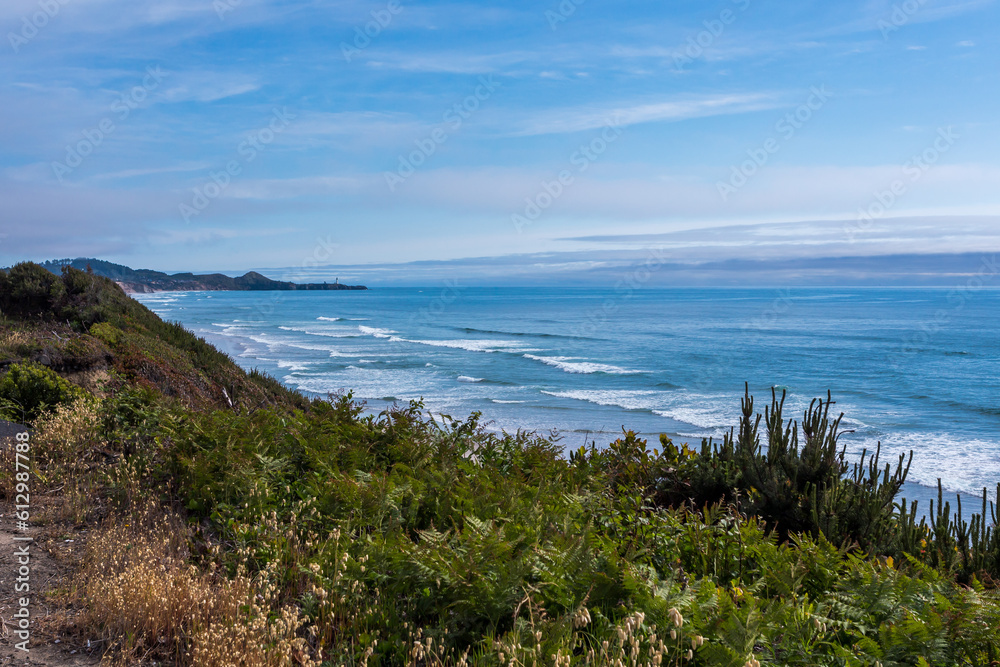 Pacific Ocean coastline in summer twilight Pacific Ocean coastline in summer twilight