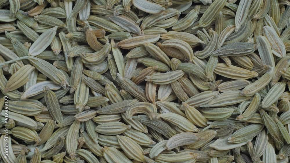 Top view: heap of dry fennel seeds on slow rotating surface - macro, close up. Herbal, seasoning and healthy concept Top view: heap of dry fennel seeds on slow rotating surface - macro, close up. Herbal, seasoning and healthy concept