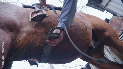 Father teaching son how to care for and saddle a horse
