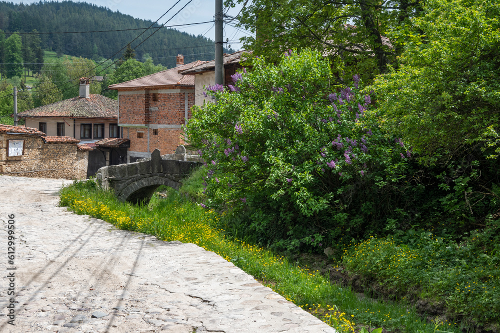 Street and old houses in Koprivshtitsa, Bulgaria