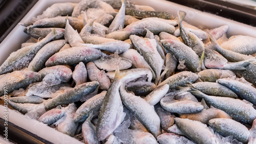 Frozen sea fish in ice on a counter in a store during the sale of fresh and healthy products. - generative ai