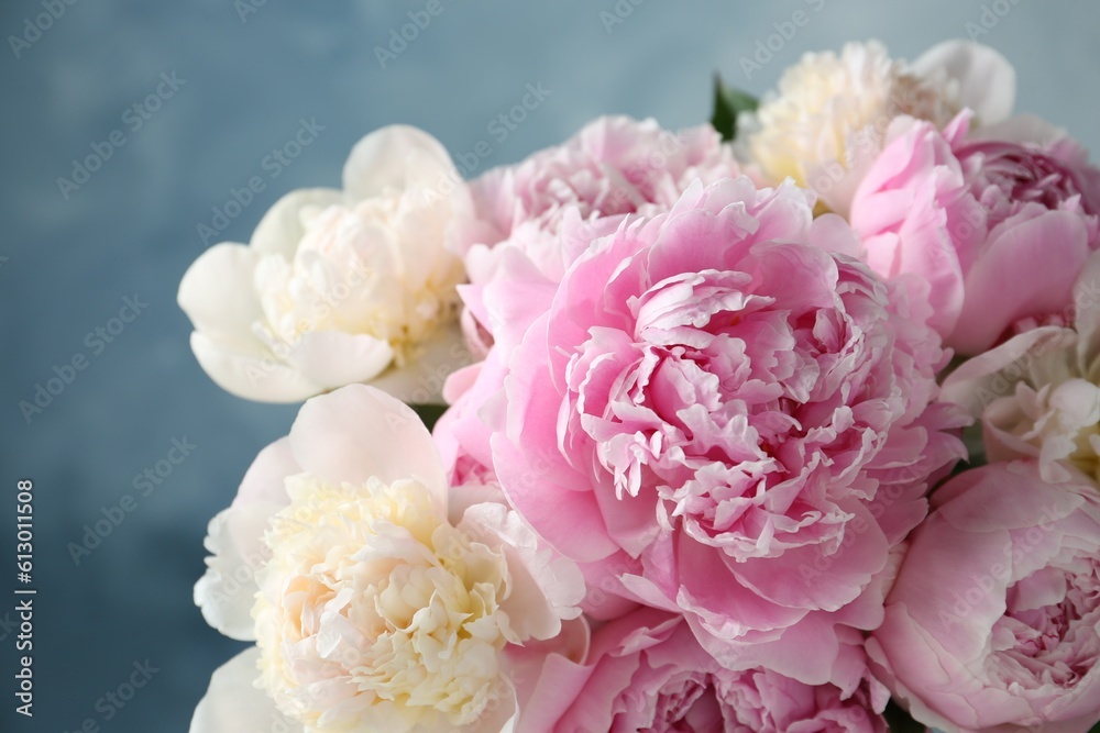 Beautiful aromatic peonies on blurred background, closeup Beautiful aromatic peonies on blurred background, closeup