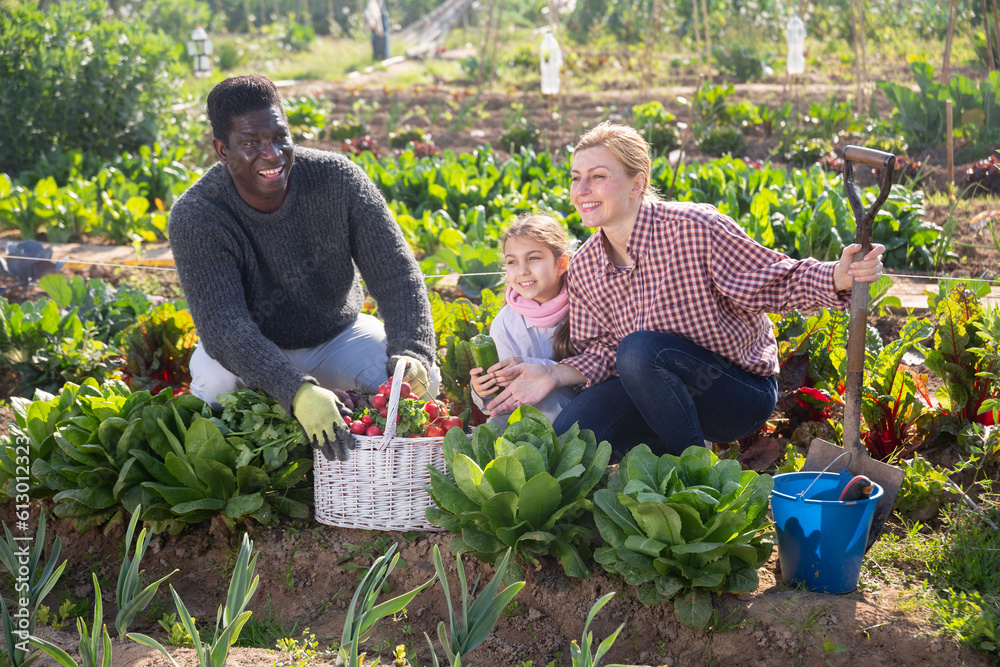 Fototapeta premium Portrait of happy cheerful couple of farmers with daughter sitting outdoors and smiling at the farm