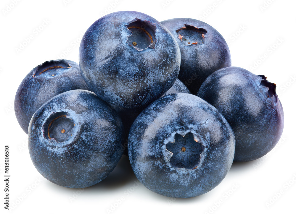 Blueberry Isolated with clipping path Blueberry Isolated with clipping path