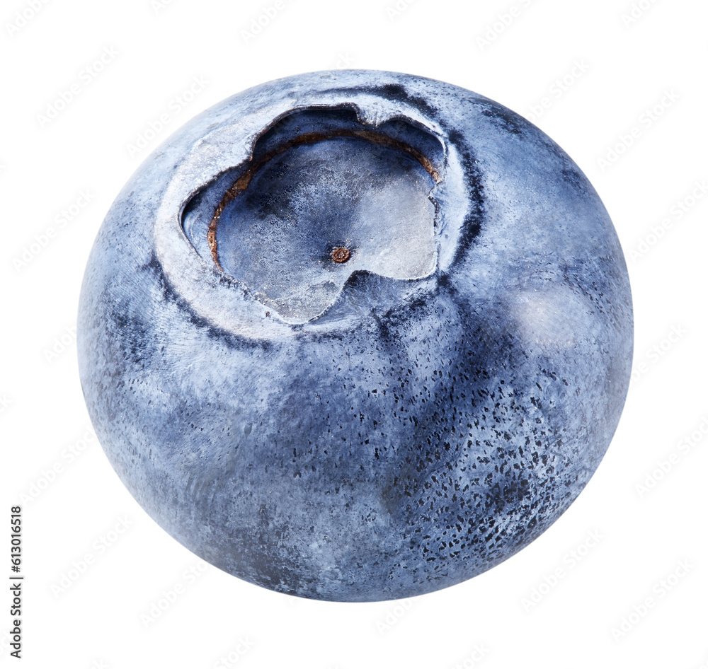 Blueberry isolated on white