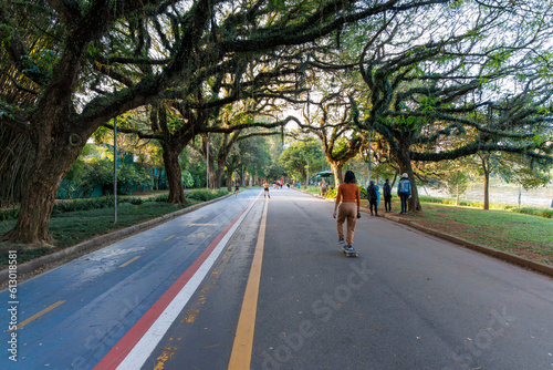 pessoas se exercitando no parque Ibirapuera 