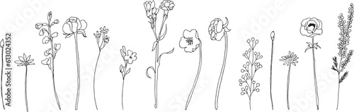 ベクターイラスト。手書きの草木のイラストセット。植物のイラスト。手描きのハーブと花のイラスト。Vector illustration. Set of hand drawn illustrations of plants and trees. Illustration of plants. Hand drawn herbs and flowers illustration.