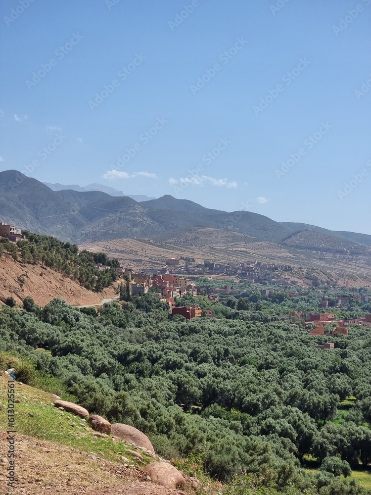 Obraz premium view of the mountains