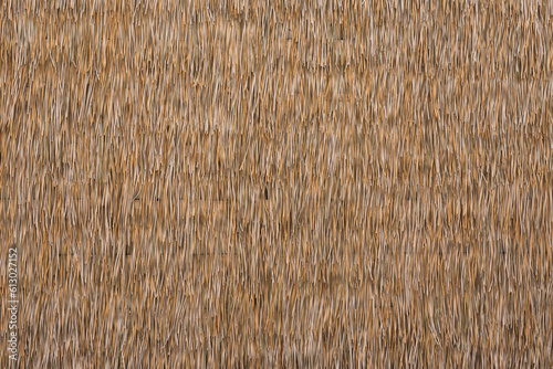 Close up dry straw texture wall background.