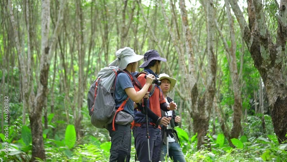 Explore the tropical rainforest in the rainy season. Asian trekkers journey through lush wilderness. Capture wildlife encounters and essential backpacking moments. Perfect for nature enthusiasts. Join Explore the tropical rainforest in the rainy season. Asian trekkers journey through lush wilderness. Capture wildlife encounters and essential backpacking moments. Perfect for nature enthusiasts. Join