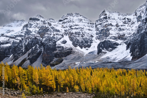 Rocks, mountinas and yellow larch trees in fall season in Banff National Park. Moraine Lake area. Alberta. Canada photo