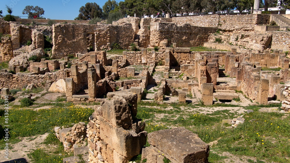 Ruins of an ancient commercial district at Carthage in Tunis, Tunisia