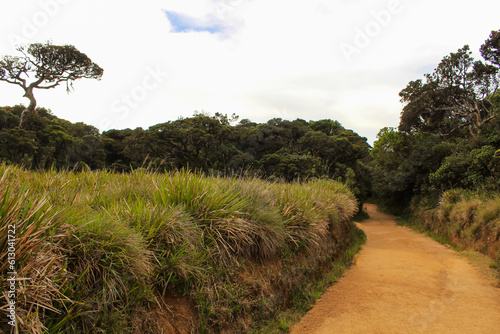 The walkinf path through Horton Plains National Park, Sri Lanka photo