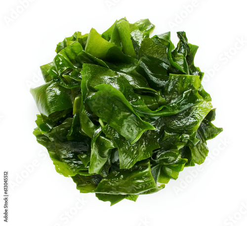 top view overhead flat lay wakame konbu alga Laminaria Kelp Seaweed Isolated on White Background. Laminaria konbu alga Kelp Seaweed Isolated. fresh Laminaria konbu alga Kelp Seaweed wakame photo