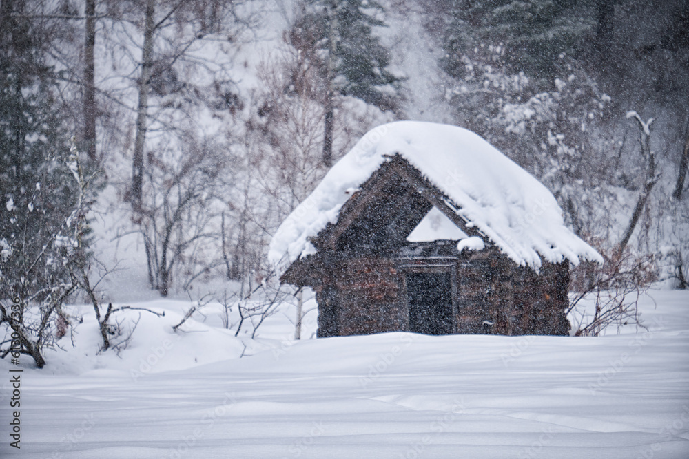 Old abandoned wooden house. The roof is covered with a thick layer of snow. Altai in winter season.