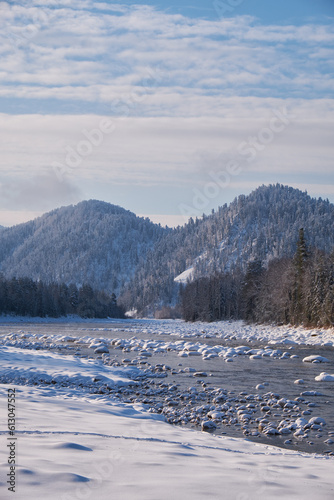 Stones with snow caps in the water of Altai Biya river under heavy snow in winter season with forest on background © Serg Zastavkin