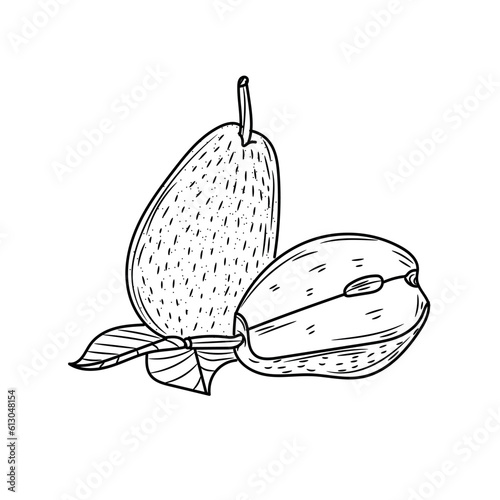 Ripe pears on white background
