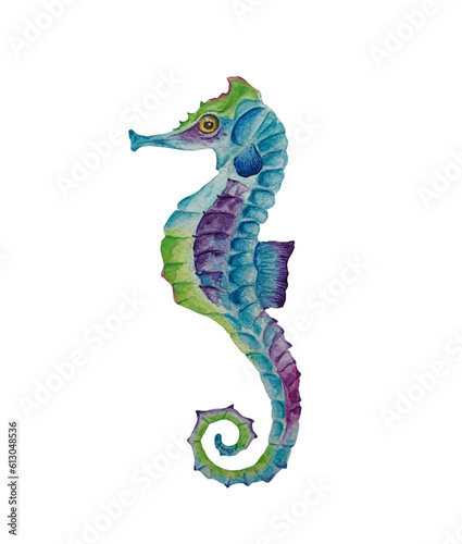 Watercolor seahorse isolated on white background.