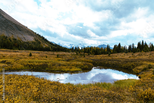 vue d'une étendue d'eau calme qui reflète le ciel en montagnes avec l'herbe jaune en automne