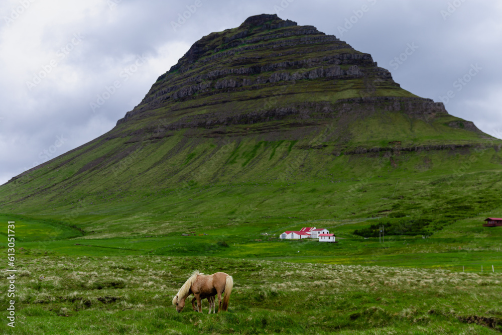 vue sur un cheval à poil long beige dans un pâturage vert en été avec une haute montagne en arrière plan