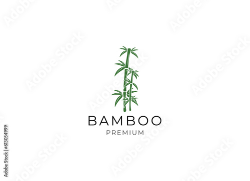 Vector logo, label or emblem with watercolor hand drawn green bamboo plant. Concept for spa and beauty salon, asian massage, cosmetics package, furniture materials.
