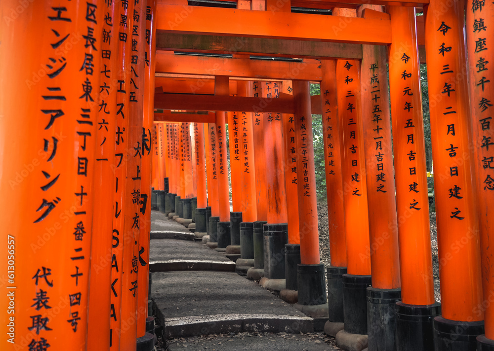 A mesmerizing sanctuary renowned for its iconic vermilion torii gates. A mesmerizing sanctuary renowned for its iconic vermilion torii gates.