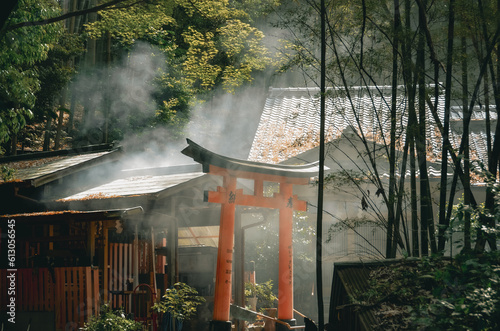 Nestled near the old man's house, the Torii shrine exudes an air of ancient mystique. 