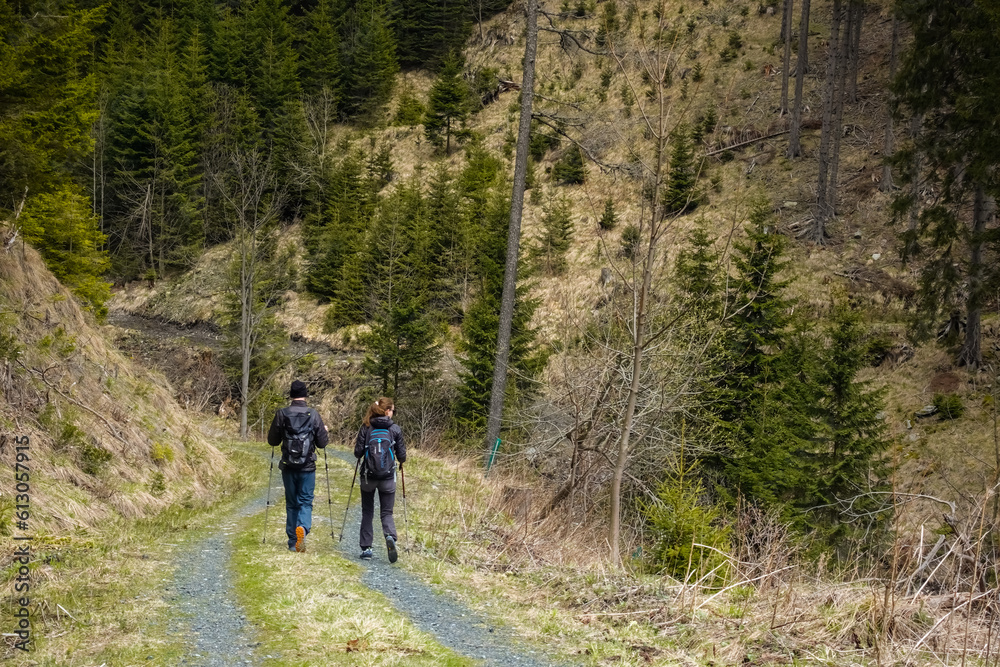 two hikers on a downhill path in the mountains with little pine trees