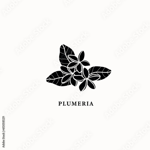 Flat vector plumeria flowers illustration