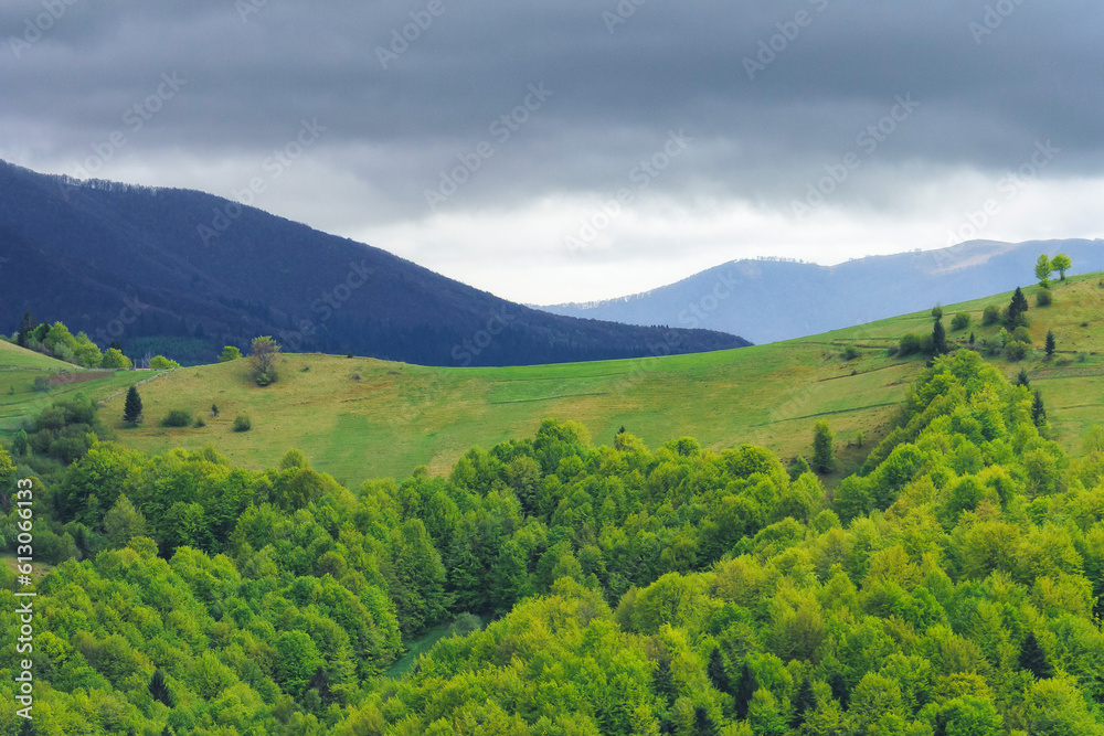 spring scenery in rural mountain countryside. green fields and meadows on the hills