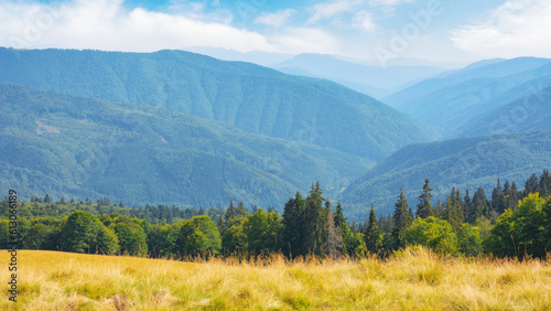 mountain landscape in summer. forested hills and grassy meadows. countryside scenery on a sunny afternoon