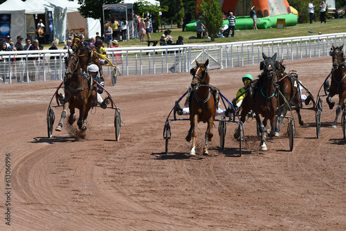 course de chevaux en trot attelé