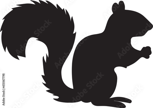 squirrel vector illustration